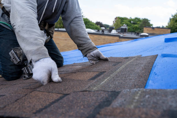 Quick and Trustworthy Emergency Roof Repair Services in Grenelefe, FL