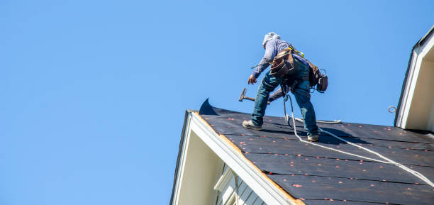 Best Roof Gutter Cleaning  in Grenelefe, FL